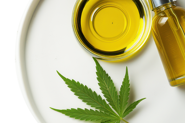 Hemp oil – a botanical elixir with soothing and regenerative properties. Hemp leaf and a bowl with yellow oil on a white surface.
